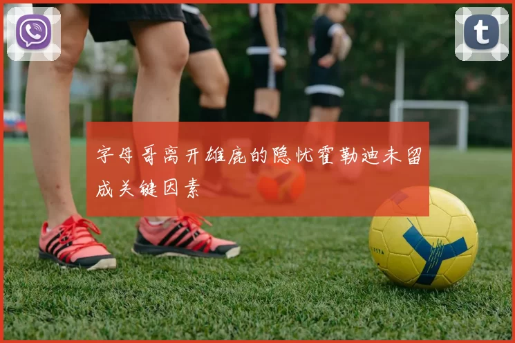 字母哥离开雄鹿的隐忧霍勒迪未留成关键因素